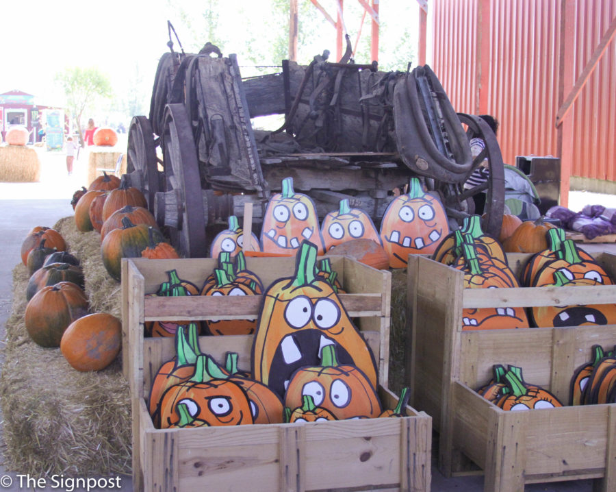 An old wagon sports pumpkins and decorations that can be purchased at Black Island Farms in Syracuse.