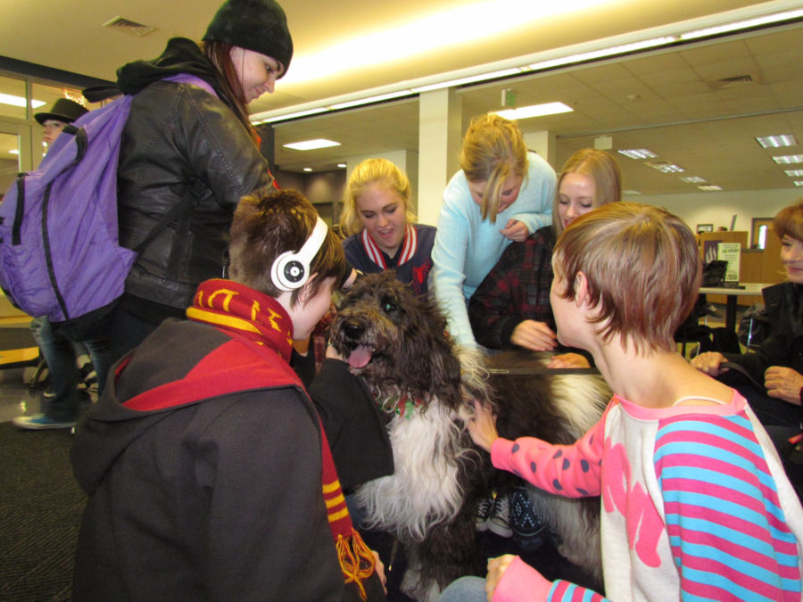 Therapy dogs visit WSU Davis