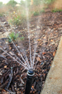 A campus sprinkler waters xeriscaping in fall 2014. Weber State University is taking steps to conserve water by having implemented the use of sensors on a new sprinkler system that indicate whether or not an area needs water. (Kaitlyn Johnson / The Signpost)