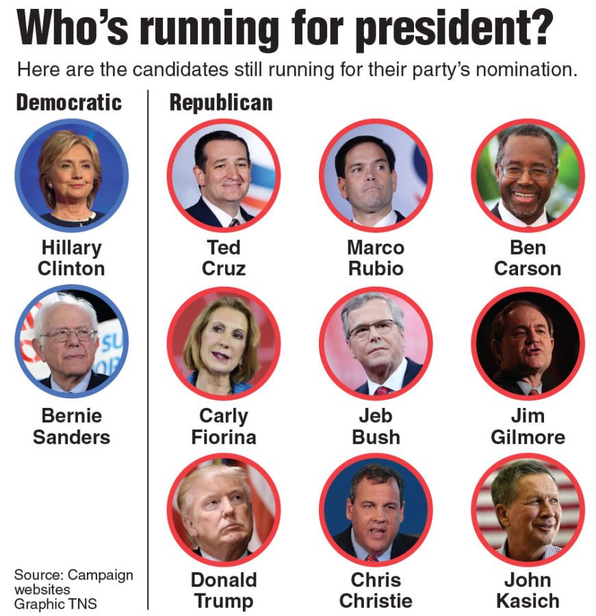 There are many candidates still in the running for the presidency. Although they are united by party affiliation, they all have different ideas for policies.  Source: MCT