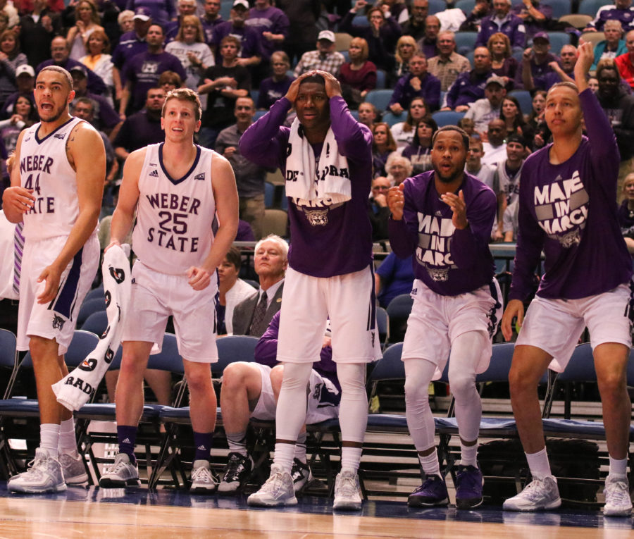 The Wildcat bench reacts during a play in the Championship game. Webers win at the Big Sky takes the team to St. Louis, Missouri, where they will take on Xavier University. (Ariana Berkemeier / The Signpost)