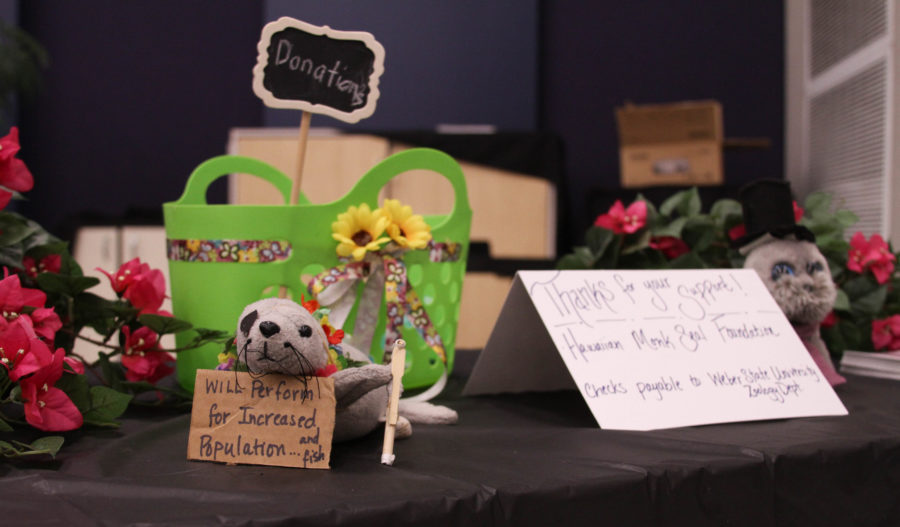 A cute table was decorated for people to make donations to the Hawaiian Monk Seal Foundation at the Apr. 13 benefit concert. (Abby Van Ess / The Signpost)