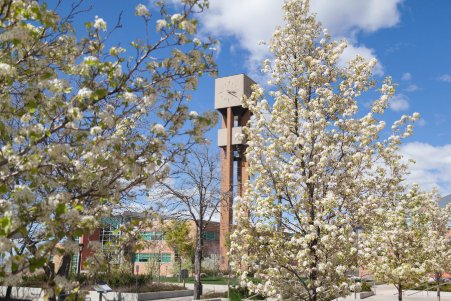 Trees bursting with white florets line the walkway to the Stewart Library. (Christina Huerta/The Signpost)