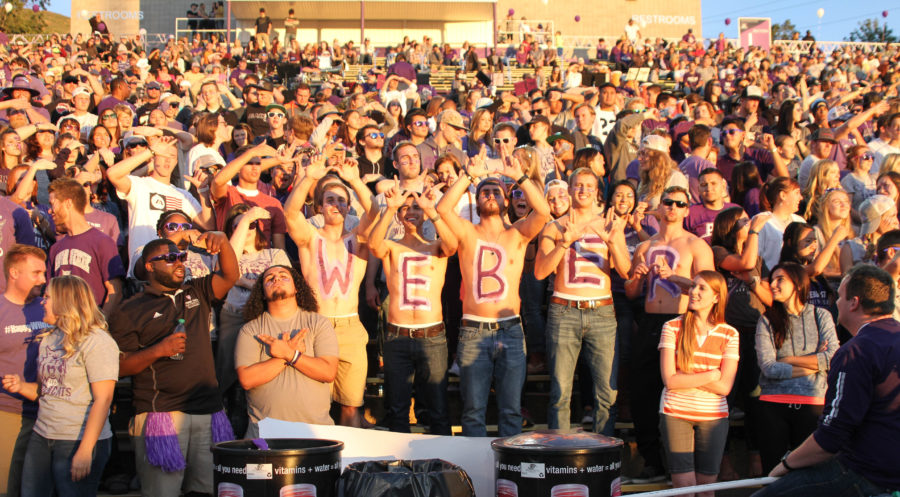 Weber State wildcat fans show off their support at a football game.