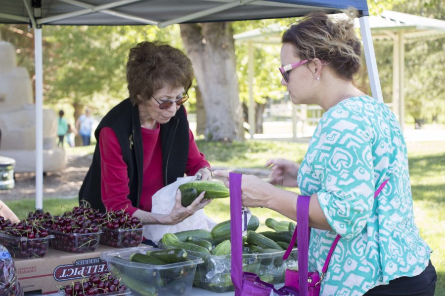 Joan Badley sells zucchini to a customer at the Harrisville Farmers Market on Thursday, July 14. (Emily Crooks / The Signpost)