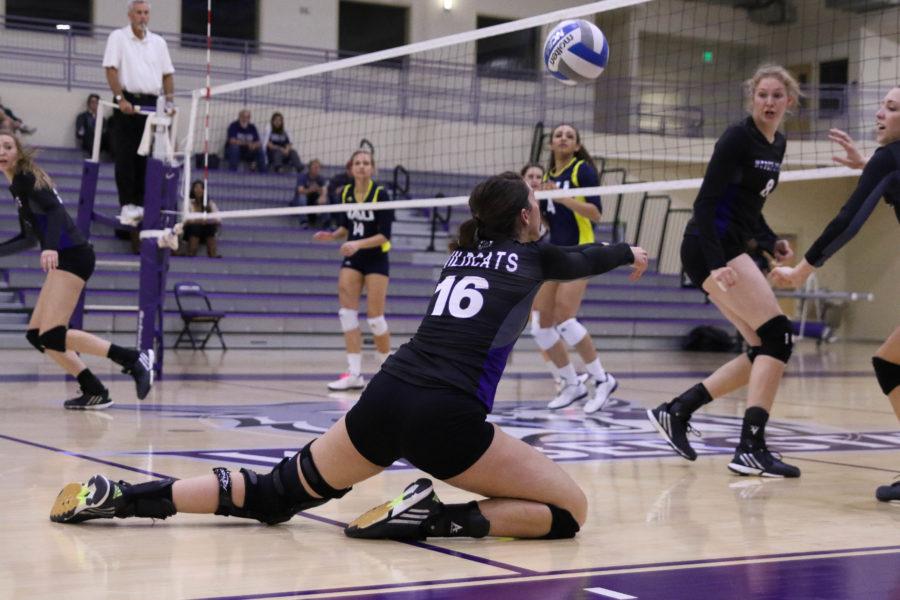 Tanisha Langston falls to her knees for the dig during the third set in a game against NAU last season. The volleyball team continues to be undefeated this season following their game against The Citadel. (Gabe Cerritos / The Signpost)