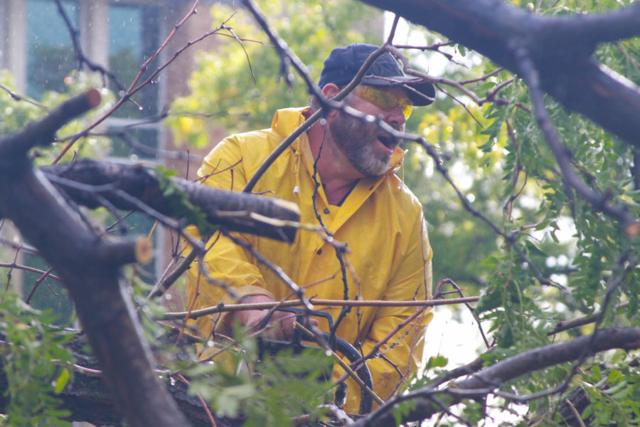 Weber State Universitys Facilities Management works to clear a snapped tree blocking the path to the Social Science Building following the storm Thursday, Sept 22. (Emily Crooks / The Signpost)