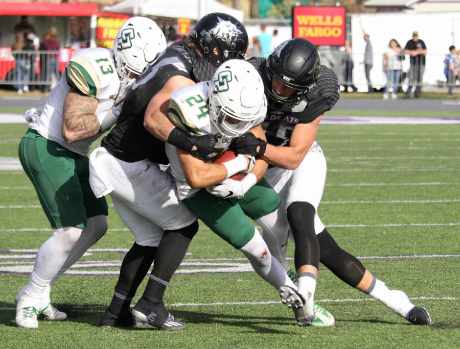Two Weber State players tackle a Cal Poly player in the game at Weber State University on Nov. 12. (Abby Van Ess / The Signpost)