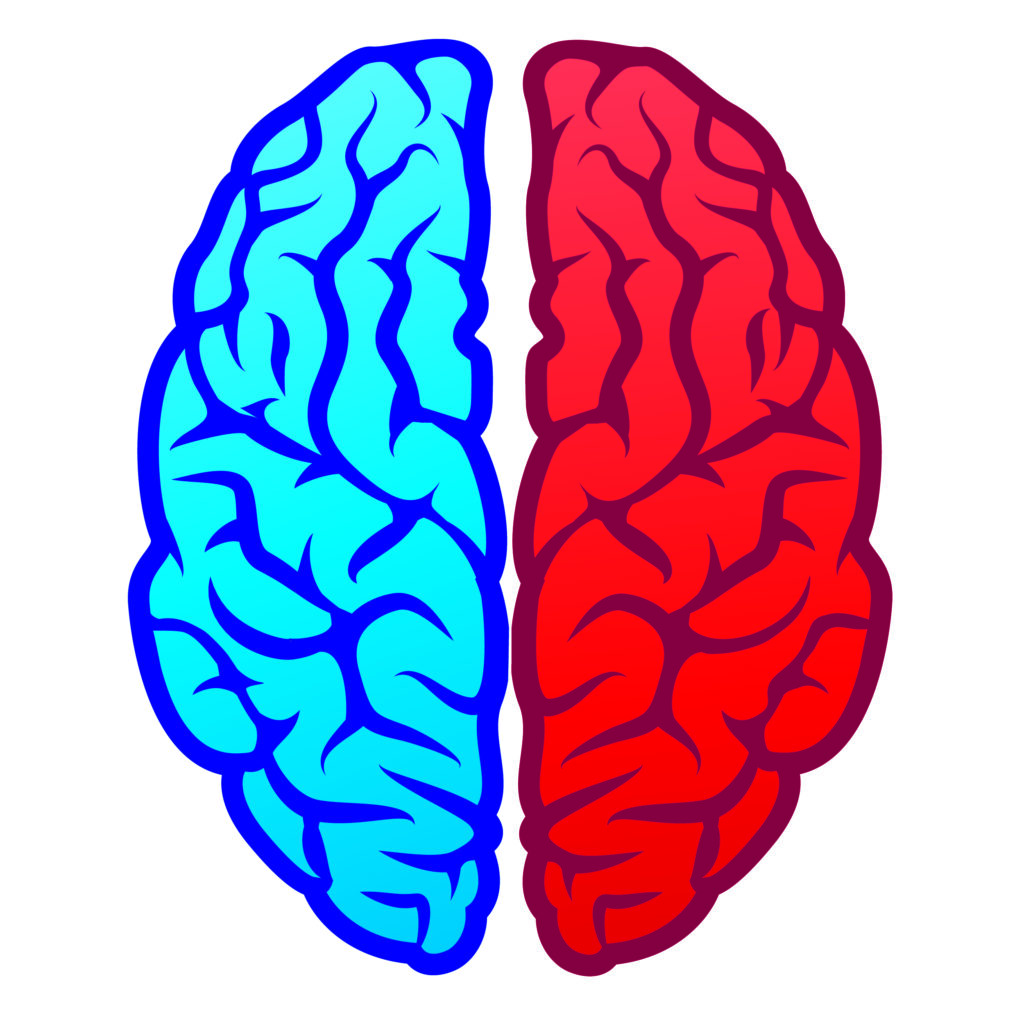 Blue red brain RGB-01.jpg