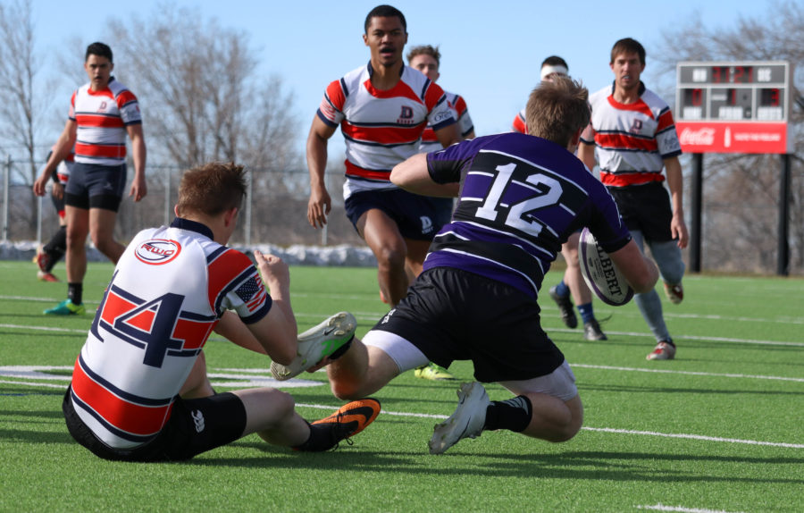 Higher expectations for Wildcat rugby