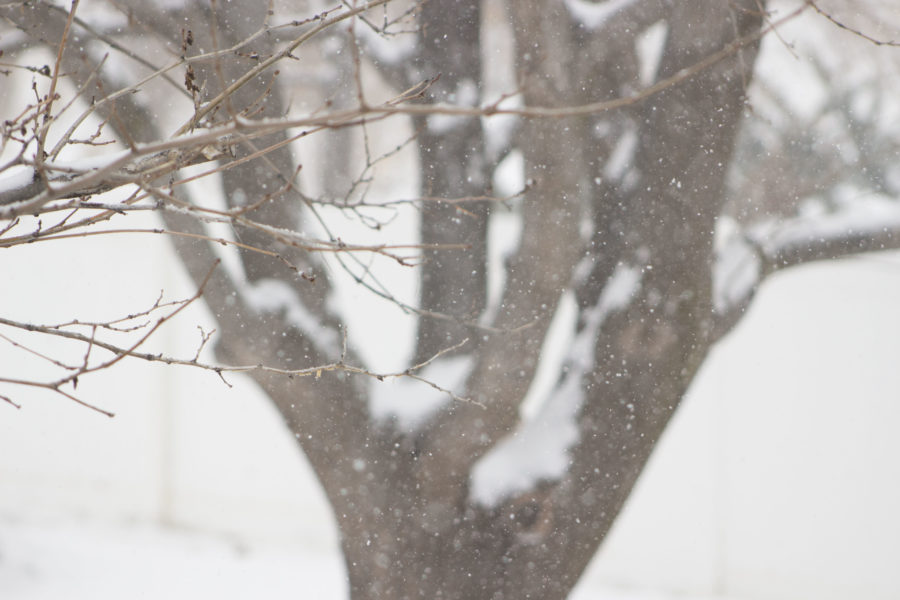 This seasons Utah snowfall has surpassed the average of 61 inches. (Dalton Flandro / The Signpost)