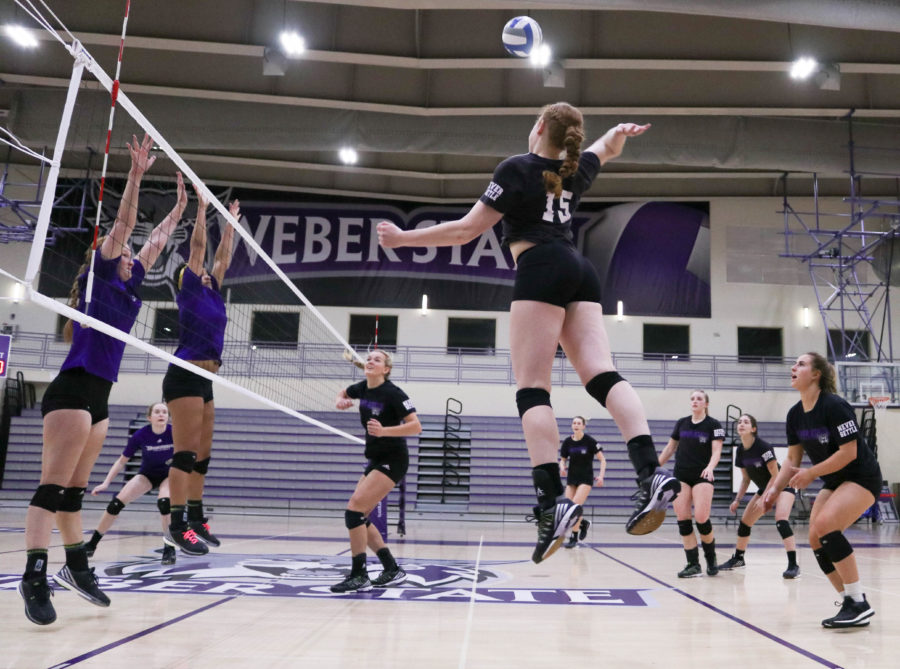 Junior Amanda Varley gets ready to spike the ball to Westminster on Mar 25. (Abby Van Ess / The Signpost)