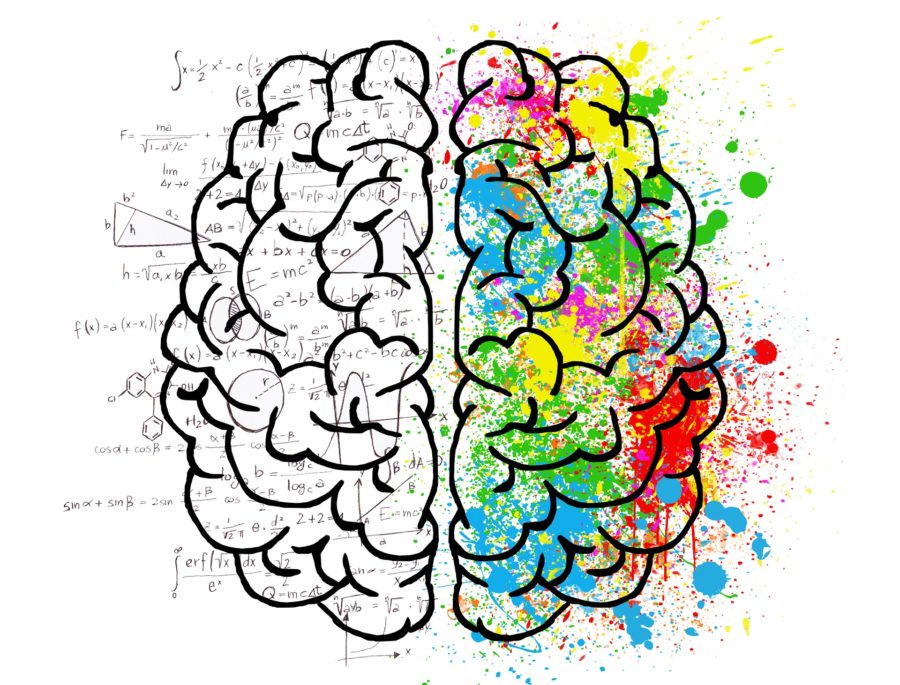 New research has found an association between brain structure and ADHD. (Illustration from Pixabay)