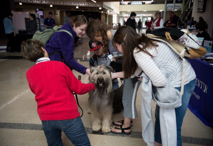 Lucia, a therapy dog from Intermountain Therapy Animals, interacting with attendees of the April 10 Relaxation Fair. (Joshua Wineholt / The Signpost)