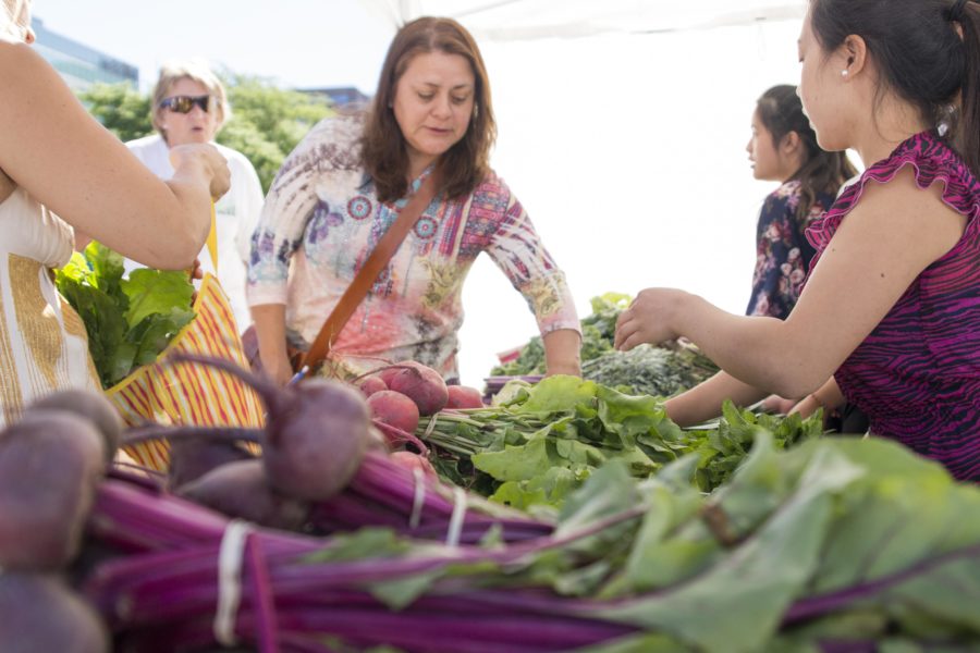 Locals check out fresh vegetables at Ogden City Farmers Market last summer, one activity to do to get out and explore Ogden on a college student dime. (The Signpost Archives)