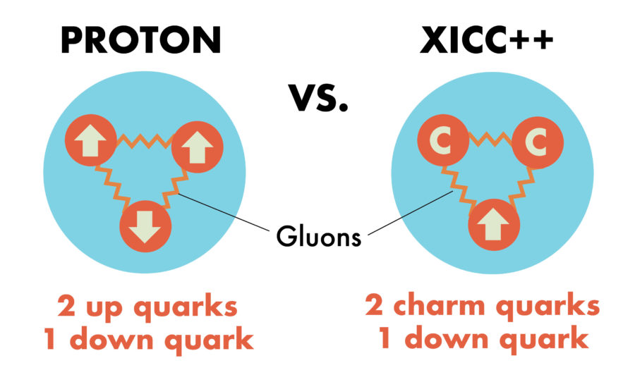A proton vs. Xicc++ Photo credit: Maddy Van Orman