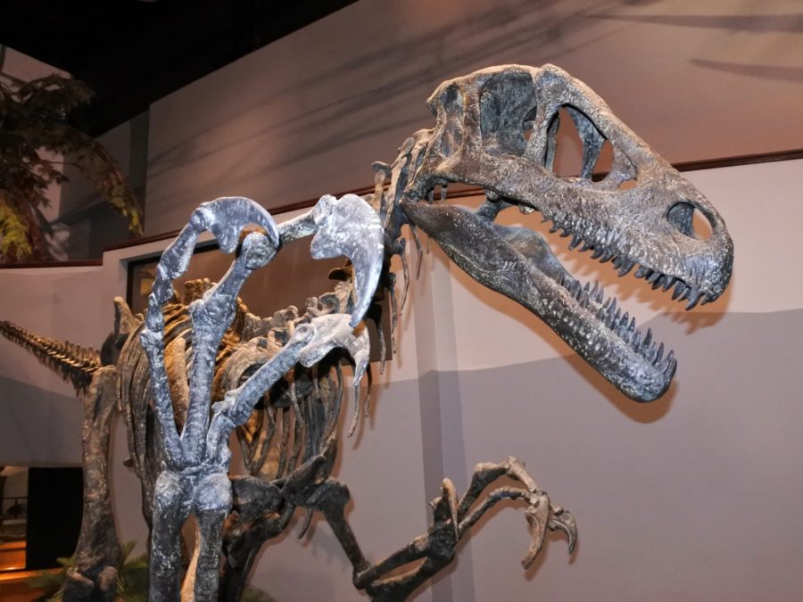 The Utahraptor Project seeks funds to further research. Photo credit: Wikimedia Commons