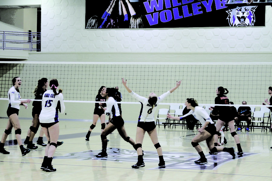 The Wildcats celebrate after winning a set. (Jin Elle/ The Signpost)