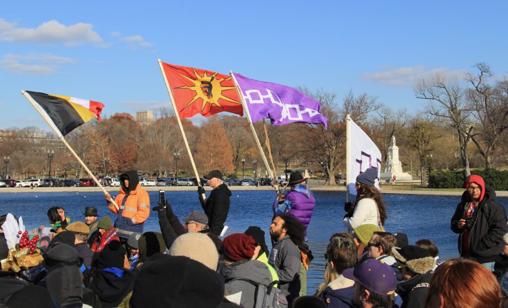 Native_American_flags_at_Beyond_NoDAPL_March_on_Washington,_DC[1].jpg