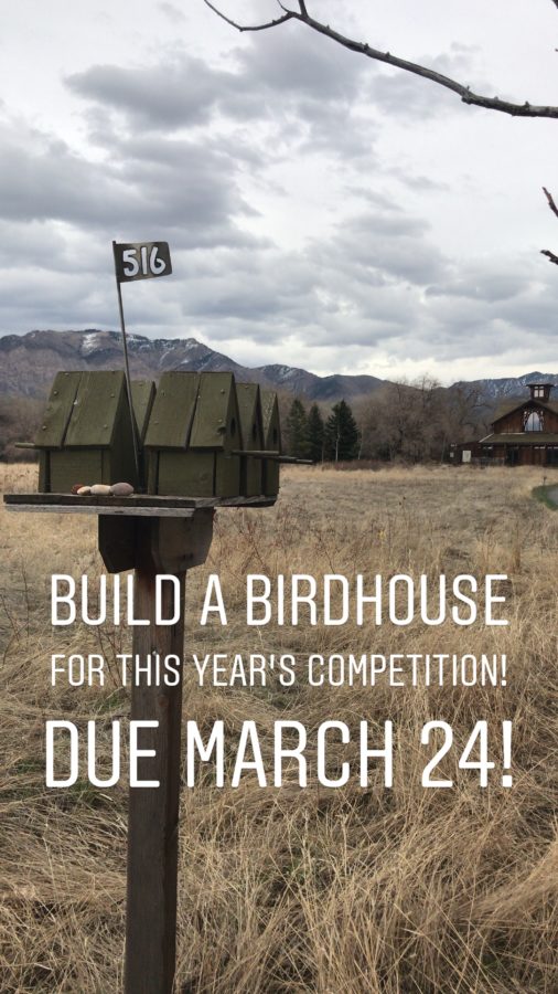 Birdhouse submissions are due March 24. Photo credit: Brandi Bosworth