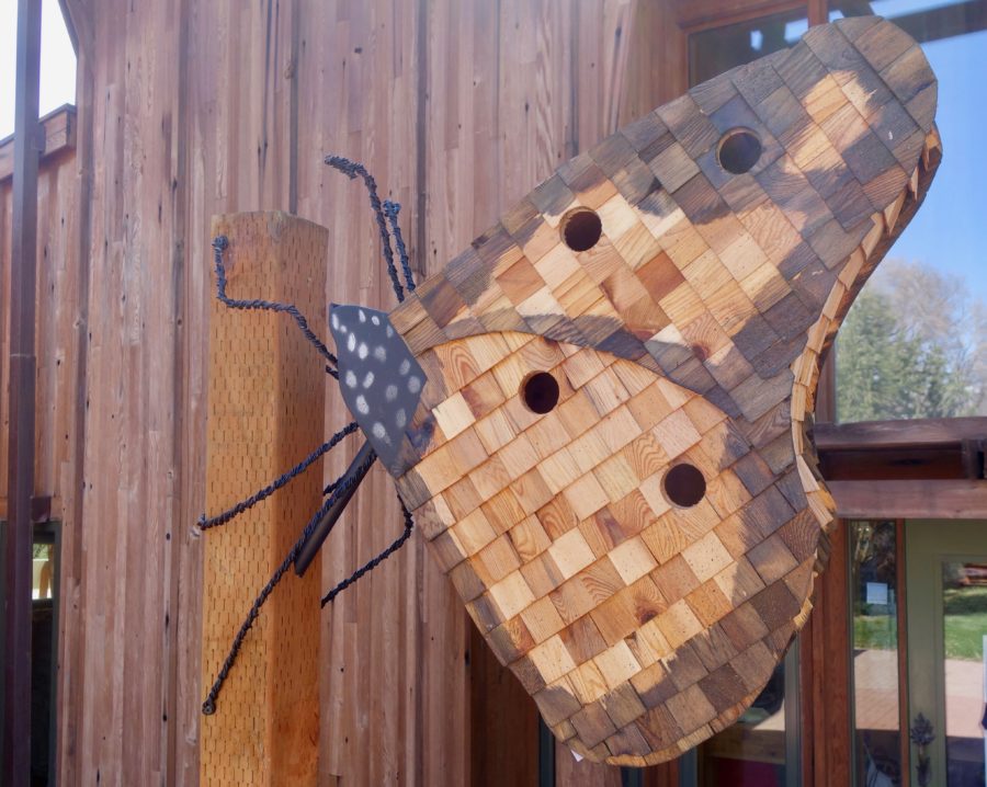 A birdhouse in the shape of a butterfly at the Ogden Nature Center. Photo credit: Nic Sells