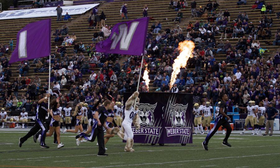 Waldo kicks off the pre-game pyrotechnics, leading the rest of the flag-carriers. (Joshua Wineholt / The Signpost)