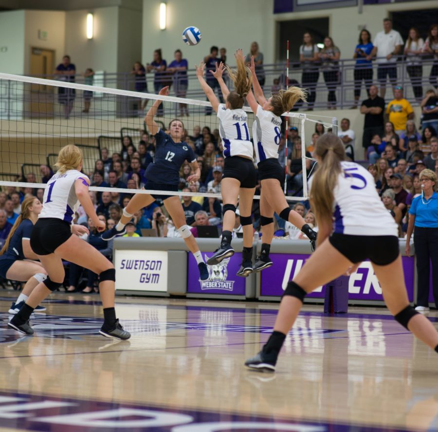 Cats successfully block an attempted spike by the Cougars. (Joshua Wineholt / The Signpost)