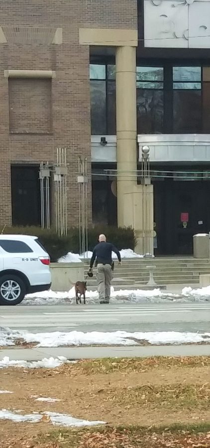 An Ogden City Police officer walks into the District Courthouse with his police dog to investigate a possible bomb threat.