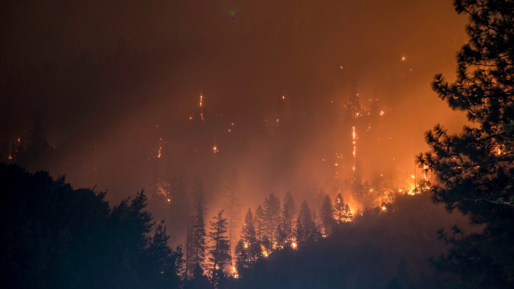 2-8 Wildfires (Source) (1 of 2).jpg