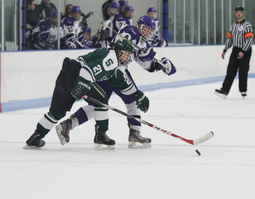 1-16 Hockey v. MSU (Ariana Berkemeier) (3 of 13).jpg