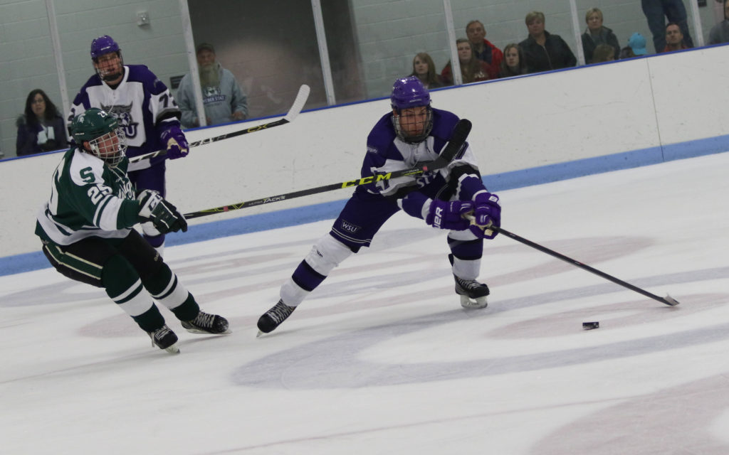 1-16 Hockey v. MSU (Ariana Berkemeier) (8 of 13).jpg