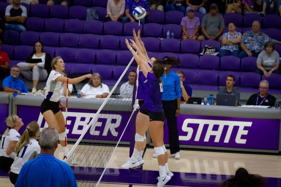 The Wildcats go head to head with the Pilots at the net. (Kalie Pead/ The Signpost)