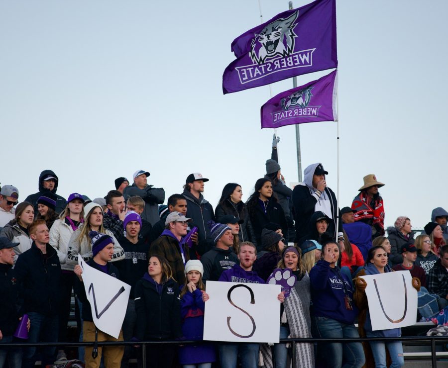 Despite the long trip, Wildcats come to show their support at a home game at Stewart Stadium. (Joshua Wineholt / The Signpost)
