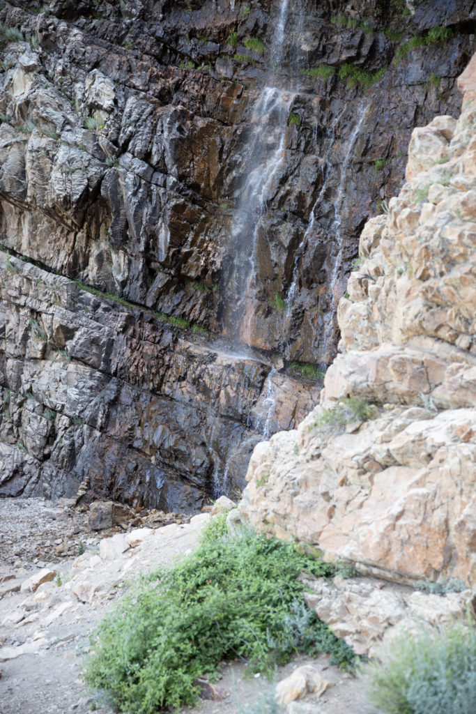 Waterfall at the end of Waterfall Canyon Trail in Ogden, Utah. (Robert Lewis / The Signpost)