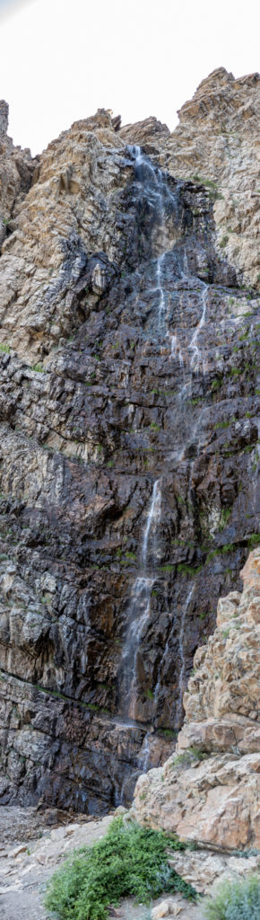 Five photos merged into one vertical panoramic photograph. (Robert Lewis / The Signpost)