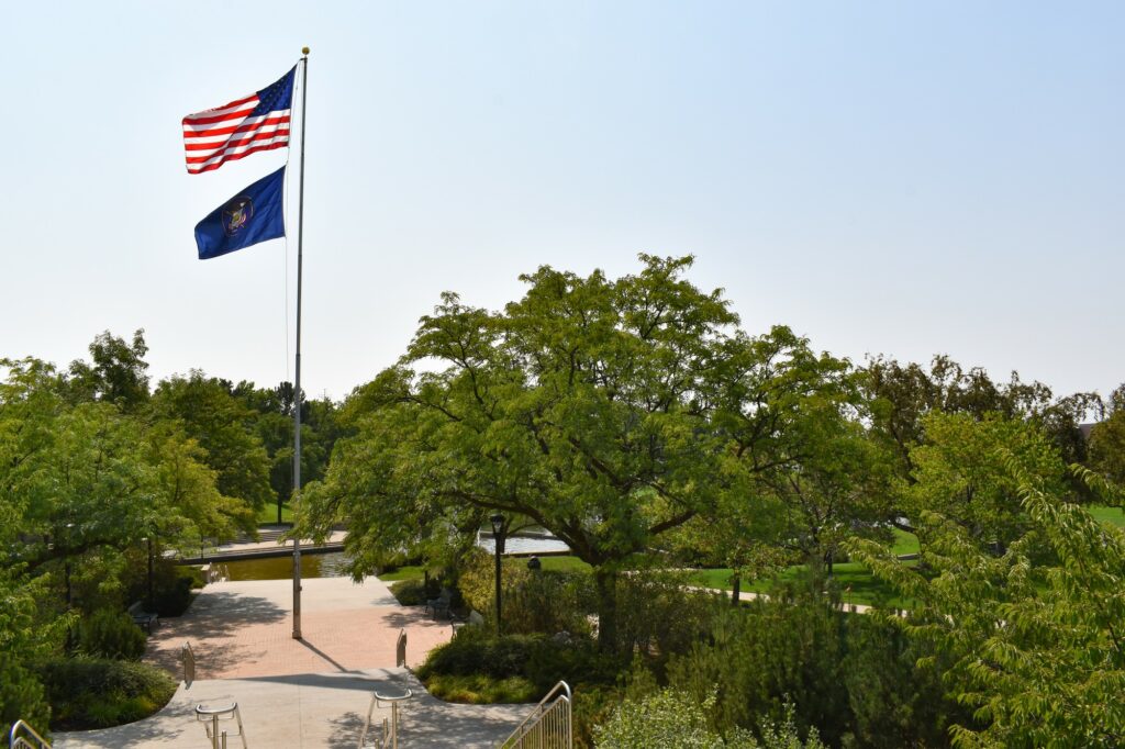 The trees on campus of Weber State University. (Paige McKinnon / The Signpost)