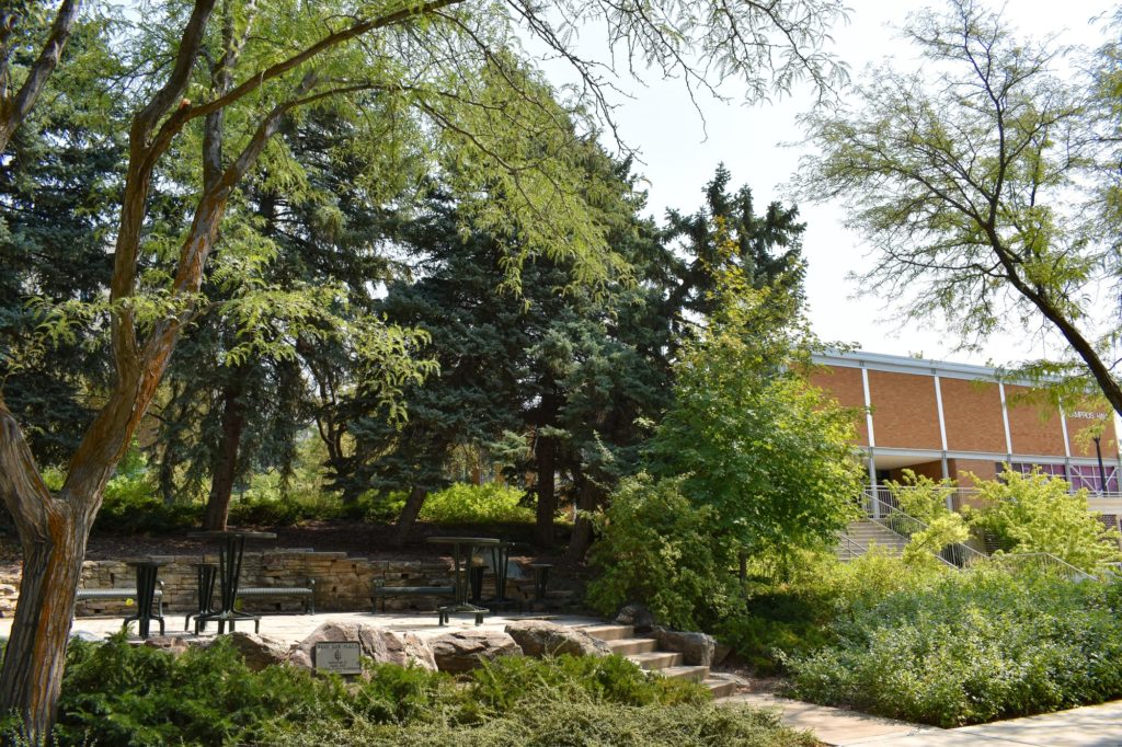 The trees on campus of Weber State University. (Paige McKinnon / The Signpost)