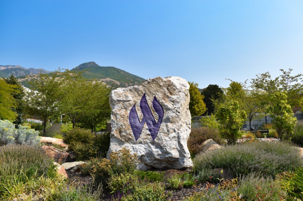 The trees on campus of Weber State University. (Paige McKinnon / The Signpost)