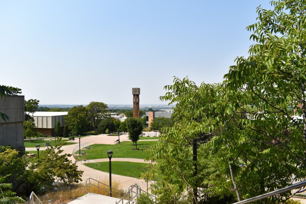 The trees on campus of Weber State University. (Paige McKinnon / The Signpost)