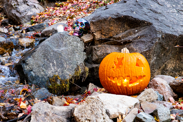 Jack-o-lantern beside a stream near the intersection of Waterfall Cannyon Trail and Bonneville Shoreline Trail in Ogden, Utah. (Robert Lewis/The Signpost)