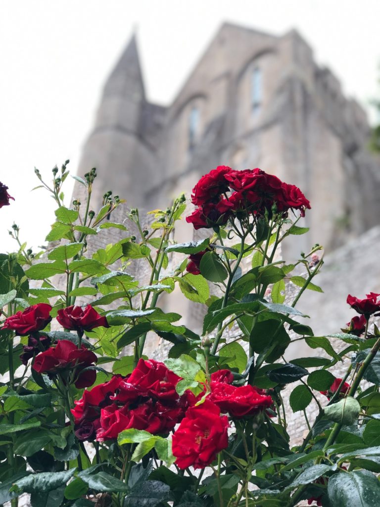 A view of Abbey church behind the roses on the island of Le Mont-Saint-Michel. (Paige McKinnon / The Signpost)