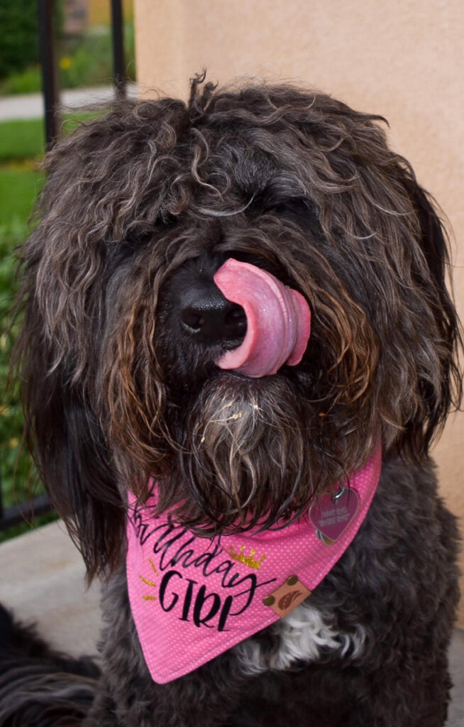 Indie Ray on her third birthday in April of this year. (Paige McKinnon / The Signpost)