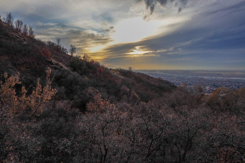 A view of Ogden, Utah, from the Waterfall Canyon Trail (Robert Lewis / The Signpost)