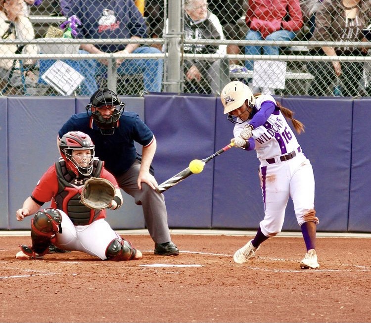 The Wildcats are happy to be back on the diamond on Feb. 12 after a long year off. Photo credit: WSU Athletics