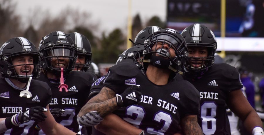 The Weber State Wildcats celebrate their touchdown that led them to a win on their home field. (Paige McKinnon/The Signpost)
