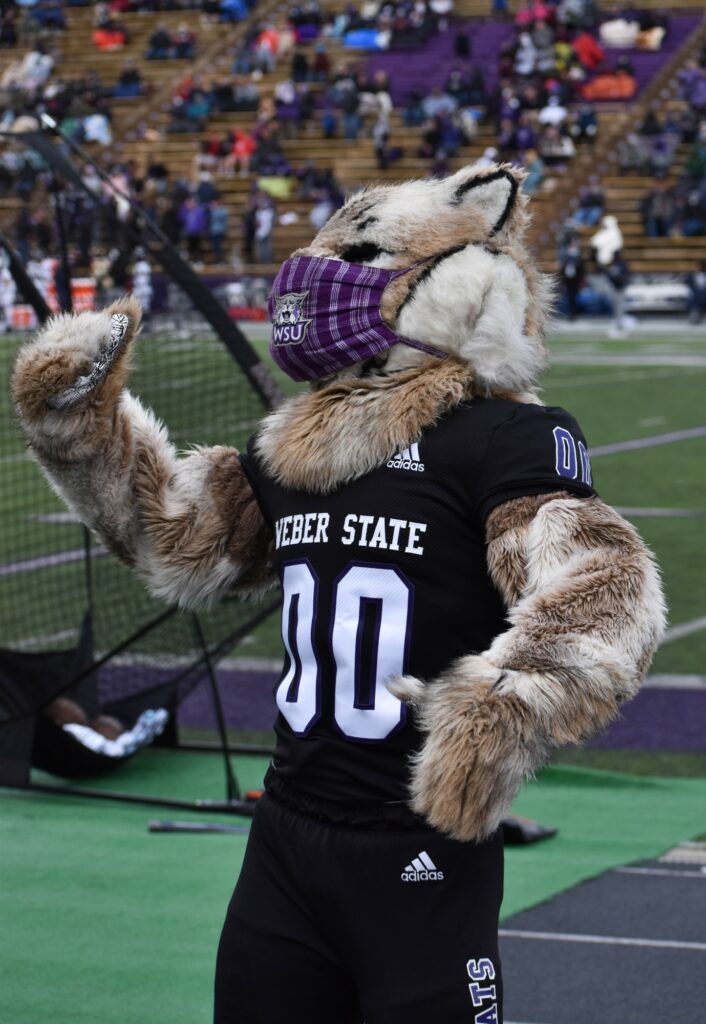 Weber State mascot, Waldo the wildcat, gets the crowd excited for the next football play at Stewart Stadium in Ogden. (Paige McKinnon/The Signpost)