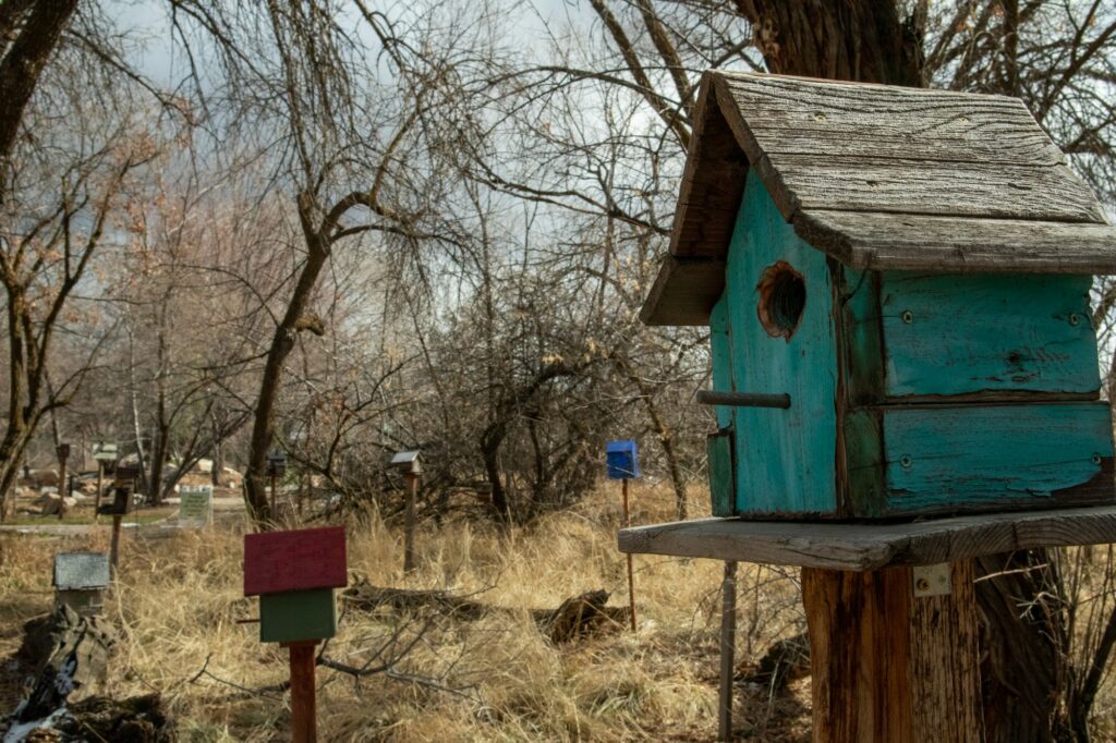 Birdhouses stand just off of The Ogden Nature Center's trail. Each year, the Nature Center displays birdhouses from their annual competition. (Sarah Earnshaw/ The Signpost)