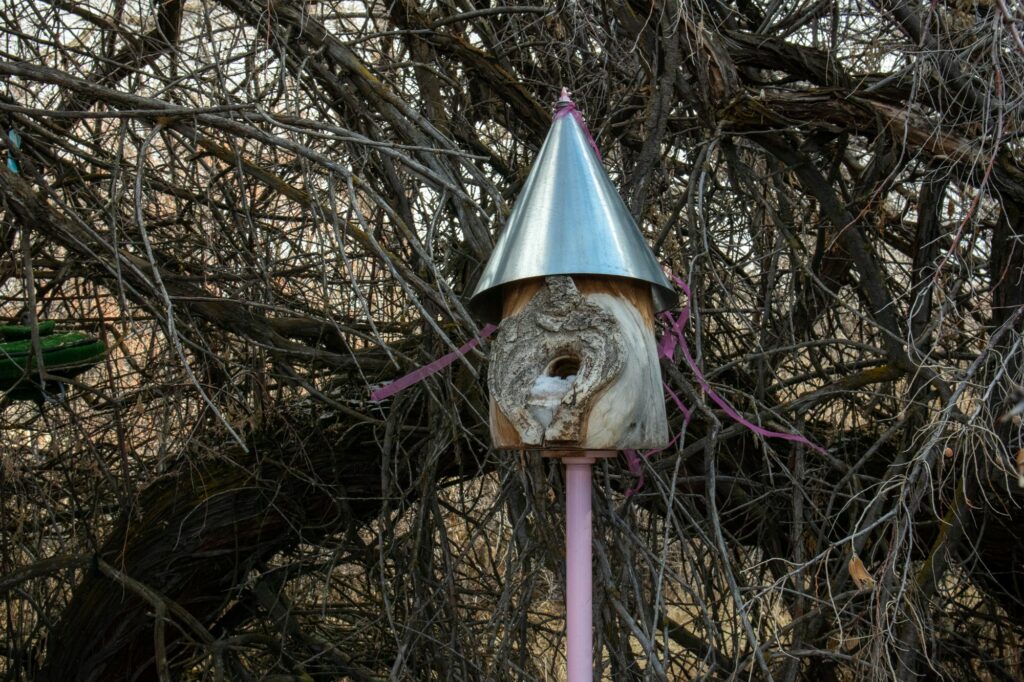 A princess birdhouse stands next to the entrance to Ogden Nature Center's trail. Each year, the Nature Center displays birdhouses from their annual competition. (Sarah Earnshaw/ The Signpost)