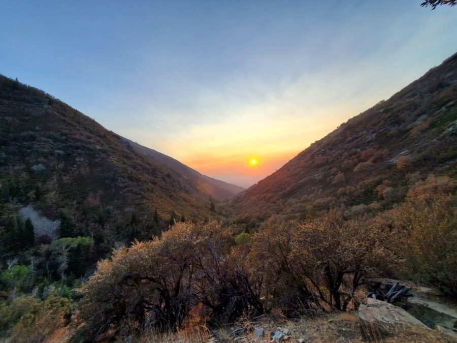 Farmington Canyon trees show all of their colors in a fall sunset. The canyon is a popular spot to visit for locals who want to enjoy the beauty of the mountains. (The Signpost/Sarah Earnshaw) Photo credit: Sarah Earnshaw