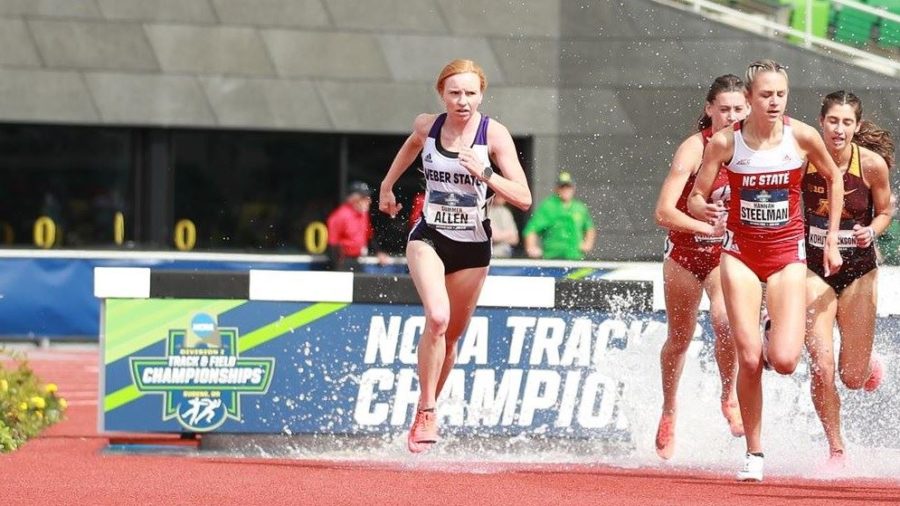 Summer Allen competes in the steeplechase at the NCAA Outdoor Track and Field Championships in Eugene, Oregon on June 12. Photo credit: Weber State Athletics